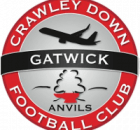 Crawley Down Gatwick FC