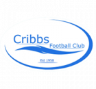 Cribbs FC