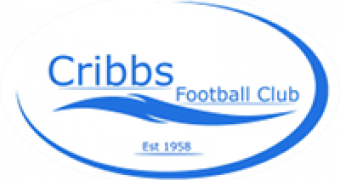 Cribbs FC