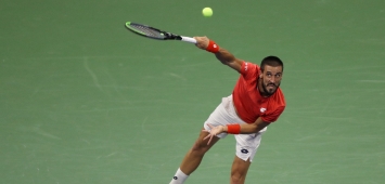 damir dzumhur