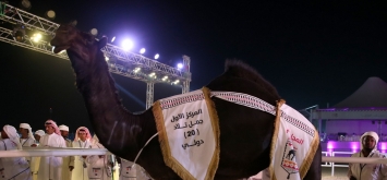 مهرجان قطر للإبل