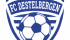 FC Destelbergen