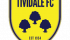 Tividale FC