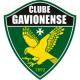 CF Os Gavionenses