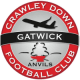 Crawley Down Gatwick FC