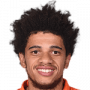 Taison